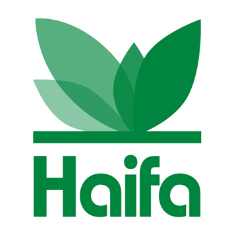 https://hi-immigrationlaw.com/wp-content/uploads/2021/12/Haifa_Group_Logo.png